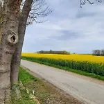 بيت ضيافة Radlerpension-boltenhagen