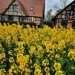 Radlerpension-boltenhagen Gasthof *