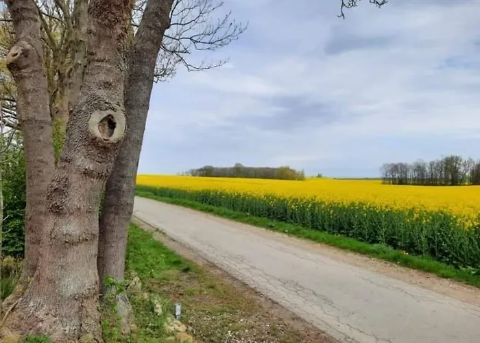 بيت ضيافة Radlerpension-boltenhagen